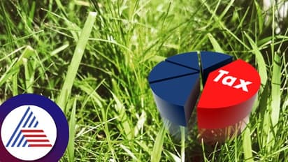 ನೌಕರಿ ಜೊತೆ ಹುಲ್ಲು ಬೆಳೆದರೆ ಸಾಕು, ಶೇ.100 ರಷ್ಟು ಟ್ಯಾಕ್ಸ್ ಉಳಿತಾಯ ಟಿಪ್ಸ್ ನೀಡಿದ ವೈರಲ್ ಸಿಎ!