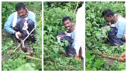 പൊതുസ്ഥലത്ത് ശൗച്യം ചെയ്യാനിരുന്നു, പിന്നാലെ കഴുത്തിന് ചുറ്റിപിടിച്ചത് പെരുമ്പാമ്പ്; വീഡിയോ വൈറല്