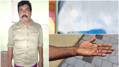 മാലയുടെ കണ്ണികളും കൊളുത്തും മുത്തും അടിച്ചുമാറ്റി; ബാങ്കിൽ പണയ സ്വർണത്തിൽ തട്ടിപ്പ്, ഒരാൾ കസ്റ്റഡിയിൽ