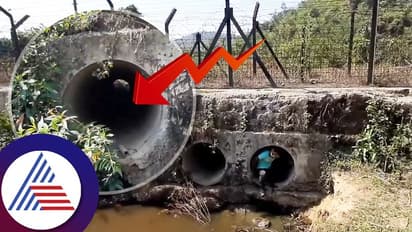 ಬಾಂಗ್ಲಾದೇಶದಿಂದ ಭಾರತಕ್ಕೆ ಅಕ್ರಮ ನಸುಳುವಿಕೆ ಹೇಗೆ? ವಿಡಿಯೋ ಮೂಲಕ ತೋರಿಸಿದ ಯೂಟ್ಯೂಬರ್!