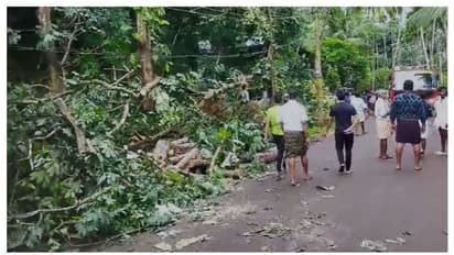 കരുവാരകുണ്ടിനെ ഭീതിയിലാക്കി അപ്രതീക്ഷിത കാറ്റ്, റബറും തെങ്ങും ജാതിയും കടപുഴകി, ലക്ഷങ്ങളുടെ നഷ്ടം