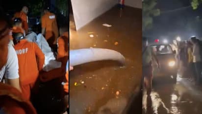 'Someone has lost it': Delhi High Court criticizes probe into deaths of civil services aspirants