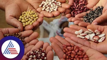 World Nature Conservation Day 2024: ಕಣ್ಮರೆಯಾದ ದೇಸೀ ಬೀಜಗಳಿಗೆ ಮರುಜೀವ!