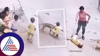 ಆಟವಾಡುತ್ತಿದ್ದ ಪುಟ್ಟ ಕಂದನ ದಾಳಿಯಿಂದ ರಕ್ಷಿಸಿದ ನಾಯಿ, ಮೈ ಜುಮ್ಮೆನಿಸುವ ದೃಶ್ಯ ಸೆರೆ!