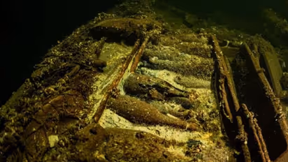 19 -ാം നൂറ്റാണ്ടിലെ 'നിധിശേഖരം', മുങ്ങിയെടുത്തത് 100 ഷാംപെയ്ൻ കുപ്പിയും വീഞ്ഞും മിനറൽ വാട്ടറും