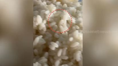 ഹോസ്റ്റലിൽ വിളമ്പിയ ചോറിൽ പുഴുവെന്ന് പരാതി, സംഭവത്തിന് പിന്നിൽ സംശയമുണ്ടെന്ന് ഹോസ്റ്റൽ ഉടമ