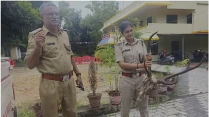 മോഷ്ടിച്ച മാൻ കൊമ്പുമായി യുവാക്കൾ അറസ്റ്റില്; പിടി വീണത് വാഹന പരിശോധനക്കിടെ