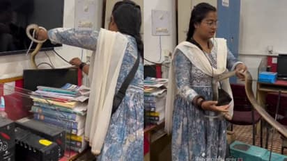 ഇത് ധൈര്യമോ അതോ സാഹസികതയോ? നഗ്നമായ കൈകളോടെ പാമ്പിനെ പിടികൂടി യുവതി, വീഡിയോ