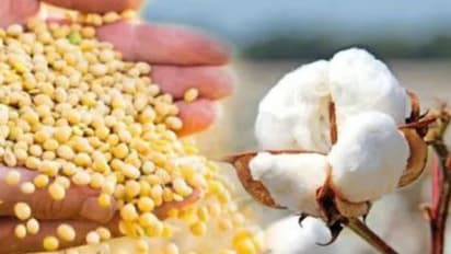 cotton and soybean farmers