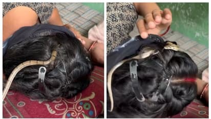 ഉറങ്ങുന്ന സ്ത്രീയുടെ തലമുടിയ്ക്ക് ഇടയിലേക്ക് കയറുന്ന പാമ്പ്; വീഡിയോ വൈറല്
