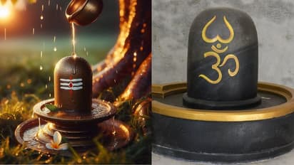Sawan 2024: How many Shivlingas should you keep at home? Learn more about the vastu