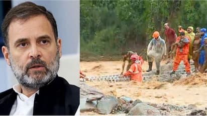 വയനാട് ഉരുൾപൊട്ടൽ: കേന്ദ്രം കൂടുതൽ ഇടപെടണമെന്ന് രാഹുൽ ഗാന്ധി