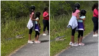 Watch: Parents endanger kids for photos next to alligator in Florida, spark outrage online