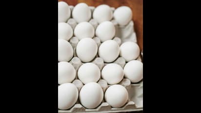 அறிவியல்ரீதியாக  முட்டையை சைவம் என்கிறார்கள். ஏன் தெரியுமா? 