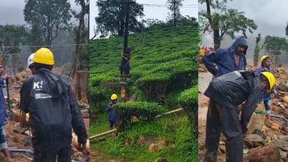 വിശ്രമിക്കാതെ കെഎസ്ഇബി, ഒടുവിൽ പരിശ്രമം ഫലം കണ്ടു; ഉരുൾപൊട്ടൽ തകർത്തെറിഞ്ഞ അട്ടമലയിൽ വൈദ്യുതിയെത്തി