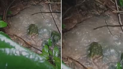 ബാലുശ്ശേരിയിൽ ഉഗ്ര ശബ്ദത്തോടെ മലവെള്ളം; ഭീതിയിൽ ജനങ്ങൾ, സ്ഥലത്ത് പരിശോധന നടത്തി ഫയര്ഫോഴ്സ് സംഘം