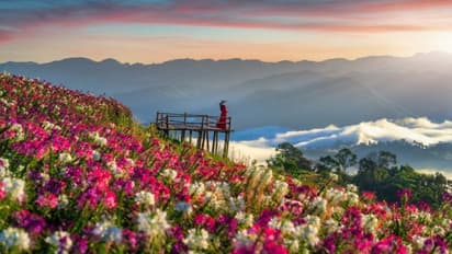 5 breathtaking flower valleys in India to visit from August to October