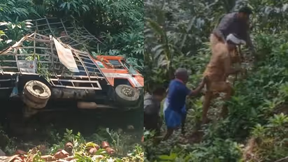 ഗ്യാസ് സിലിണ്ടറുകളുമായി വന്ന ലോറി കൊക്കയിലേക്ക് മറിഞ്ഞു; ഡ്രൈവർക്ക് പരിക്ക്, അപകടം അടിമാലിക്ക് സമീപം 