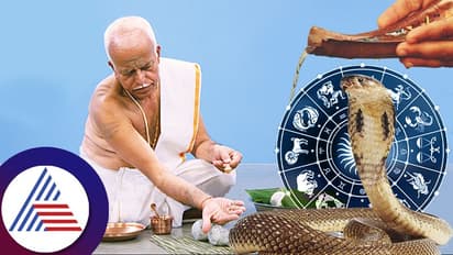 ಪಿತೃದೋಷ, ನಾಗದೋಷ ನಿವಾರಣೆಗಾಗಿ ನಾಗಪಂಚಮಿ ದಿನದಂದು ಮಾಡಿ ಈ 6 ಕೆಲಸ 