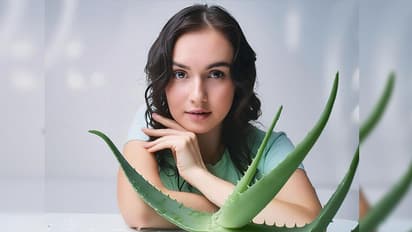 பட்டு போன்ற கூந்தலுக்கு கைகொடுக்கும் கற்றாழை ஜெல்; 6 எளிய வழிகள்