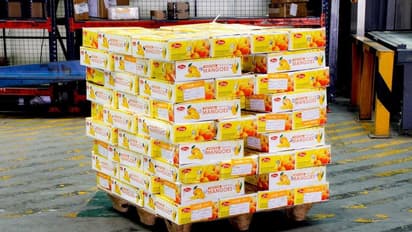 822 ಮೆಟ್ರಿಕ್ ಟನ್ ಮಾವಿನ ಹಣ್ಣನ್ನು 60 ಅಂತಾರಾಷ್ಟ್ರೀಯ ಸ್ಥಳಗಳಿಗೆ ರವಾನೆ: ದಾಖಲೆ ನಿರ್ಮಿಸಿದ ಬೆಂಗಳೂರು ಏರ್‌ಪೋರ್ಟ್