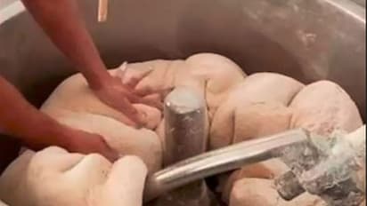 ಹಿಟ್ಟು ಕಲಸುವ ಯಂತ್ರಕ್ಕೆ ಸಿಲುಕಿ 15 ವರ್ಷದ ಬಾಲಕಿ ಸಾವು 