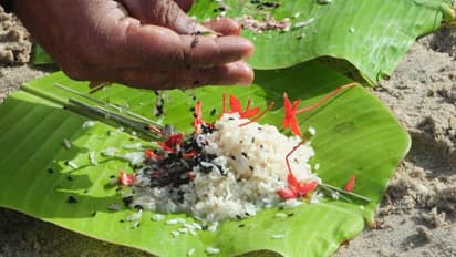 Karkidaka Vavu Bali 2024: Know date, ritual, significance and more