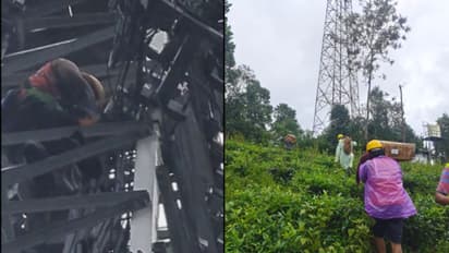 കനത്ത മഴയിലും ടവറിന് മുകളില്‍ കയറി അറ്റകുറ്റപ്പണി; വയനാട്ടില്‍ നെറ്റ്‌വര്‍ക്ക് ഒരുക്കിയ ദൃശ്യങ്ങള്‍ കാണാം