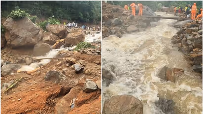മനസ്സുരുകി ക്യാമ്പിൽ കഴിയുമ്പോൾ വിലങ്ങാട് വീണ്ടും മോഷണം; മുപ്പതോളം തെങ്ങില്‍ നിന്നും തേങ്ങകൾ പറിച്ചുകൊണ്ടുപോയി