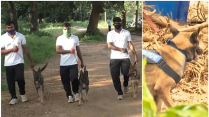 മായയും മര്ഫിയും ഏയ്ഞ്ചലും; വയനാട്ടിലും മലപ്പുറത്തും കേരള പൊലീസിന്റെ മുഖമായി മാറുകയാണ് ഇവർ