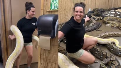 കയ്യിലൊരു കൂറ്റൻ പാമ്പ്, 'രഹസ്യമുറി' തുറന്നപ്പോൾ വീണ്ടും ഞെട്ടി കാഴ്ച്ചക്കാർ, വൈറലായി വീഡിയോ