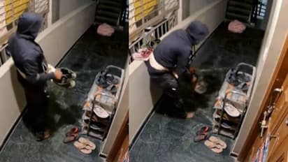 സിസിടിവി ദൃശ്യങ്ങൾ വൈറൽ, കള്ളൻ കൊള്ളാലോ എന്ന് നെറ്റിസൺസ്, ഇഷ്ടപ്പെട്ട ഷൂ തന്നെ നോക്കിയെടുക്കുന്ന യുവാവ്
