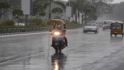 Tamil Nadu weather update: THESE districts to get heavy rainfall | Check full forecast here