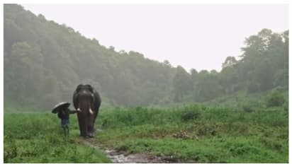 ചാറ്റൽ മഴയിൽ കോടമഞ്ഞിനിടയിലൂടെ കൊമ്പനാനയും പാപ്പാനും; ഹൃദയം തൊടുന്ന വീഡിയോ പങ്കുവച്ച് സുപ്രിയ സാഹു ഐഎഫ്എസ്