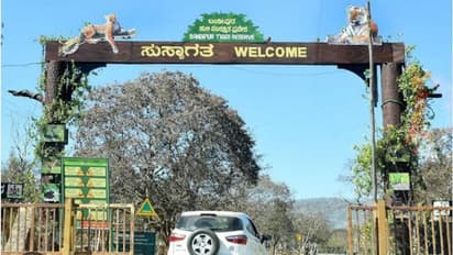 ಕಾಡಾನೆ ಹಾವಳಿ ಹೆಚ್ಚಳ : ಬಂಡೀಪುರಕ್ಕೆ ಎಲಿಫೆಂಟ್‌ ಟಾಸ್ಕ್‌ ಫೋರ್ಸ್!