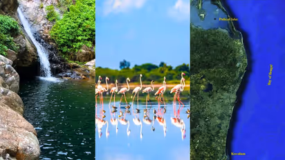 சென்னையில் இருந்து ஒரு நாளில் எங்கெல்லாம் ட்ரிப் போகலாம் தெரியுமா.. இது தெரியாம போச்சே!