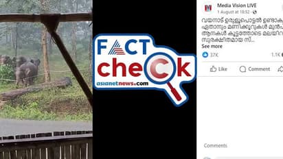 വയനാട് ഉരുള്പൊട്ടലിന് തൊട്ടുമുമ്പ് രക്ഷപ്പെട്ട് മലയിറങ്ങുന്ന ആനകളുടെ വീഡിയോയോ ഇത്? സത്യമറിയാം- Fact Check