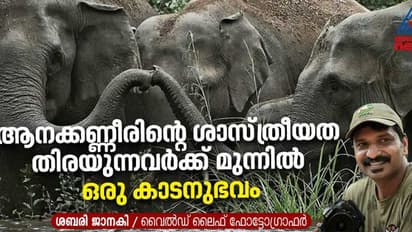 ദുരന്തമുഖത്ത് മുത്തശ്ശി കണ്ട ആനക്കണ്ണീരും മലയാളിയുടെ ശാസ്ത്രബോധവും