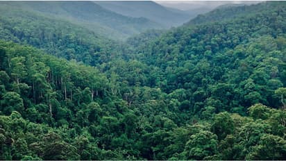 വികസന പദ്ധതികളുടെ സർവേ: മരം മുറിയ്ക്കാനും ചെറിയ രീതിയിൽ വനം തുരക്കാനും അനുമതി ആവശ്യമില്ല