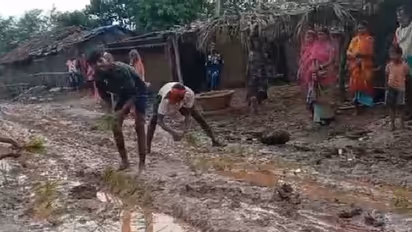 96 ലക്ഷത്തിന്റെ റോഡ് കണ്ടാൽ കണ്ടം തന്നെ, ബിഹാറിൽ നടുറോഡിൽ നെൽകൃഷിയുമായി നാട്ടുകാർ