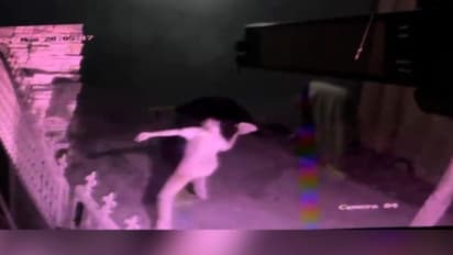 വ്യാപാര സ്ഥാപനത്തിന്റെ ഗേറ്റ് തകർക്കാൻ ശ്രമം; സിസിടിവി ദൃശ്യങ്ങൾ പുറത്ത്, പൊലീസ് അന്വേഷണം തുടങ്ങി