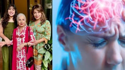 'जब वी मेट' एक्ट्रेस की बेटी का बुखार- दौरे के बाद निधन, कितनी खतरनाक है ये कंडीशन?