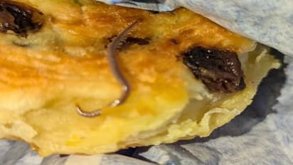 പേസ്ട്രിയിൽ ജീവനുള്ള പഴുതാര, വൈറലായി പോസ്റ്റ്, പ്രതികരിച്ച് കഫെ