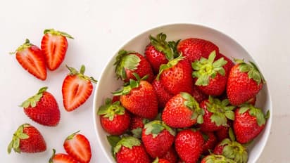 കടകളിലെ വിഐപി പഴം, വിറ്റാമിൻ സി ധാരാളം; സ്ട്രോബറി വീട്ടിൽ വളർത്താം എളുപ്പത്തിൽ