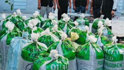 രഹസ്യ വിവരം, ആ​ൾതാ​മ​സ​മി​ല്ലാ​ത്ത വീട് വളഞ്ഞു, പൂട്ട് തകർത്തു; പ്ലാസ്റ്റിക് ചാക്കിൽ കോ​ടി​ക​ളുടെ കഞ്ചാവ്!