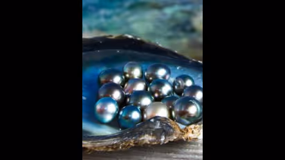  ವಿಶ್ವದ ಟಾಪ್ 7 ಮುತ್ತು ಉತ್ಪಾದಿಸುವ ದೇಶಗಳು, ಭಾರತವೂ ಇದೆ ಎಂಬುದು ಹೆಮ್ಮೆಯ ಸಂಗತಿ!