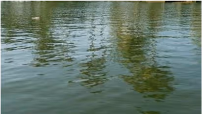 കൊച്ചിയിൽ വിദ്യാർത്ഥിനി കായലിൽ വീണു; അപകടം മാലിന്യം കളയാനായി കായലിന് അരികിലേക്ക് പോയപ്പോള്‍