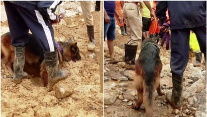 മണ്ണിനടിയില് നിന്ന് ദുര്ഗന്ധം; മുണ്ടക്കൈയില് രണ്ടിടത്ത് പരിശോധന, പാറകളും മണ്ണും നീക്കി തെരച്ചില്