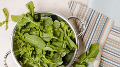 கீரை சாப்பிட்ட உடன் பால், தயிர் சாப்பிடலாமா? நிபுணர்கள் என்ன சொல்கின்றனர்?