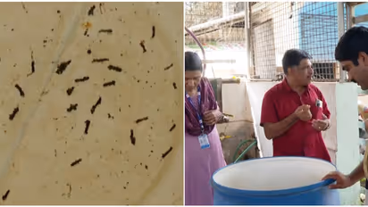 ലാർവ, വണ്ട്, പുഴു...; ഇതൊക്കെ കണ്ടത് ചായ ഉണ്ടാക്കാൻ സ്റ്റൗവിൽ വച്ച വെള്ളത്തിൽ, മിൽമ ബൂത്ത് പൂട്ടിച്ച് നഗരസഭ
